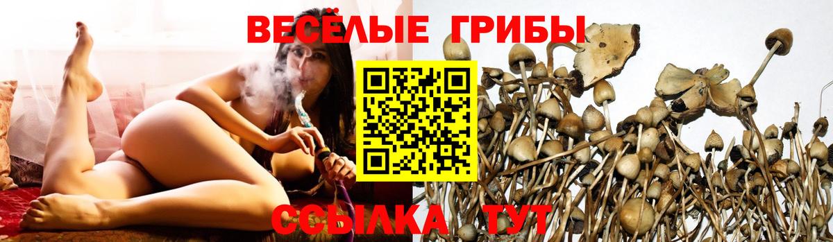 Псилоцибиновые грибы мицелий Гулькевичи