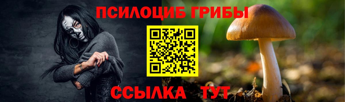 Гулькевичи  Галлюциногенные грибы ЛСД  Галлюциногенные грибы Psilocybine cubensis  Вход с VPN 